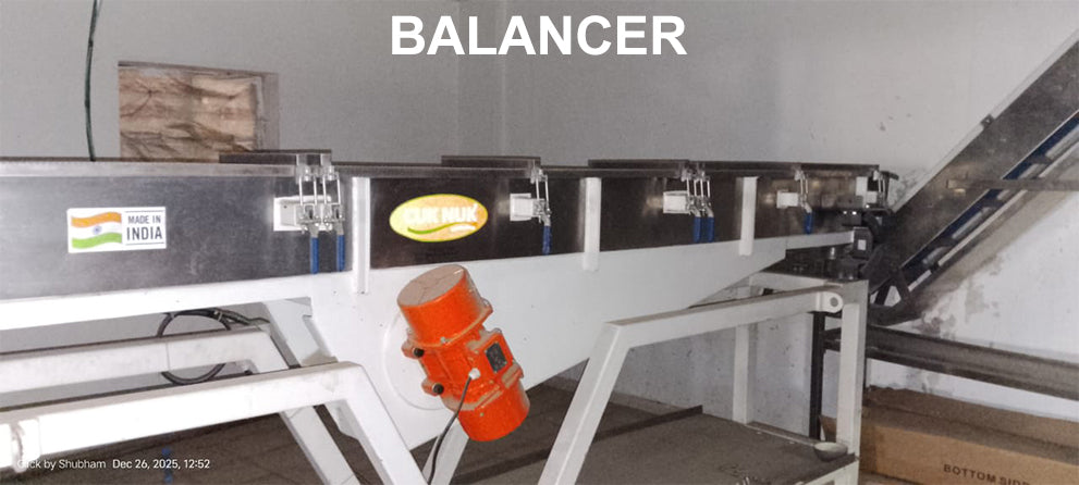 French Fries Complete Line